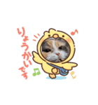ルーシーLuc[k]y（個別スタンプ：5）