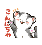 フェレットと一緒の日々2（個別スタンプ：2）