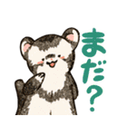 フェレットと一緒の日々2（個別スタンプ：8）