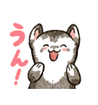 フェレットと一緒の日々2（個別スタンプ：10）