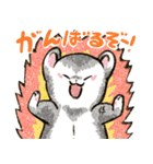 フェレットと一緒の日々2（個別スタンプ：11）