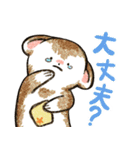 フェレットと一緒の日々2（個別スタンプ：20）