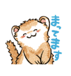 フェレットと一緒の日々2（個別スタンプ：23）