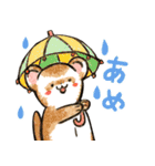 フェレットと一緒の日々2（個別スタンプ：29）