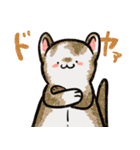 フェレットと一緒の日々2（個別スタンプ：33）