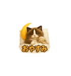 にゃんとかなるさ！（個別スタンプ：7）