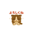 にゃんとかなるさ！（個別スタンプ：11）
