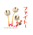 ホコリ高き変形菌スタンプ（個別スタンプ：20）