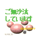 ホコリ高き変形菌スタンプ（個別スタンプ：32）