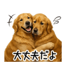 ゴールデンレトリバー☆優しさ・思いやり（個別スタンプ：10）
