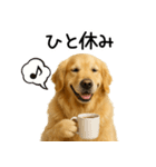 ゴールデンレトリバー☆優しさ・思いやり（個別スタンプ：14）