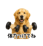 ゴールデンレトリバー☆優しさ・思いやり（個別スタンプ：24）