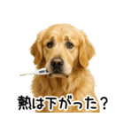 ゴールデンレトリバー☆優しさ・思いやり（個別スタンプ：25）