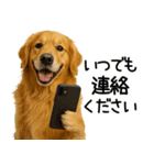 ゴールデンレトリバー☆優しさ・思いやり（個別スタンプ：29）