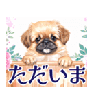 水彩感じるペキニーズスタンプ（個別スタンプ：8）