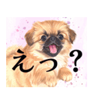水彩感じるペキニーズスタンプ（個別スタンプ：12）