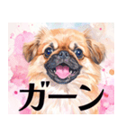 水彩感じるペキニーズスタンプ（個別スタンプ：15）