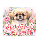 水彩感じるペキニーズスタンプ（個別スタンプ：17）