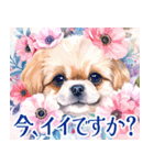 水彩感じるペキニーズスタンプ（個別スタンプ：19）