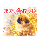 水彩感じるペキニーズスタンプ（個別スタンプ：40）
