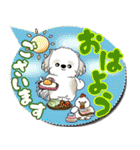 シーズー犬 「毎日送りやすい」カラフル第2（個別スタンプ：1）