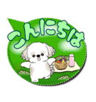 シーズー犬 「毎日送りやすい」カラフル第2（個別スタンプ：2）