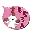 シーズー犬 「毎日送りやすい」カラフル第2（個別スタンプ：8）
