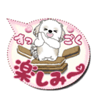 シーズー犬 「毎日送りやすい」カラフル第2（個別スタンプ：12）