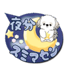 シーズー犬 「毎日送りやすい」カラフル第2（個別スタンプ：14）