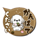 シーズー犬 「毎日送りやすい」カラフル第2（個別スタンプ：21）