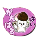 シーズー犬 「毎日送りやすい」カラフル第2（個別スタンプ：22）