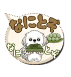 シーズー犬 「毎日送りやすい」カラフル第2（個別スタンプ：23）