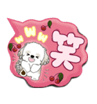 シーズー犬 「毎日送りやすい」カラフル第2（個別スタンプ：28）