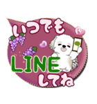 シーズー犬 「毎日送りやすい」カラフル第2（個別スタンプ：35）