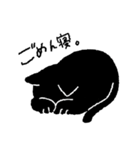 黒猫あおまる（個別スタンプ：11）