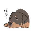 にっこりロットワイラー（個別スタンプ：2）