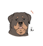 にっこりロットワイラー（個別スタンプ：7）