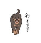 にっこりロットワイラー（個別スタンプ：9）