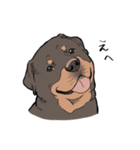 にっこりロットワイラー（個別スタンプ：12）