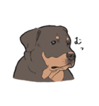 にっこりロットワイラー（個別スタンプ：13）