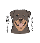 にっこりロットワイラー（個別スタンプ：15）