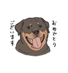 にっこりロットワイラー（個別スタンプ：25）