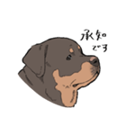 にっこりロットワイラー（個別スタンプ：30）