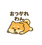 動かない柴犬の気持ち、代弁します。（個別スタンプ：6）
