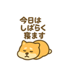 動かない柴犬の気持ち、代弁します。（個別スタンプ：9）