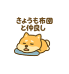 動かない柴犬の気持ち、代弁します。（個別スタンプ：11）