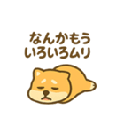 動かない柴犬の気持ち、代弁します。（個別スタンプ：13）
