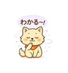 もふポメの毎日使えるゴーストスタンプ2（個別スタンプ：17）
