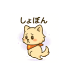 もふポメの毎日使えるゴーストスタンプ2（個別スタンプ：20）