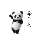 踊る！今これパンダ（個別スタンプ：1）